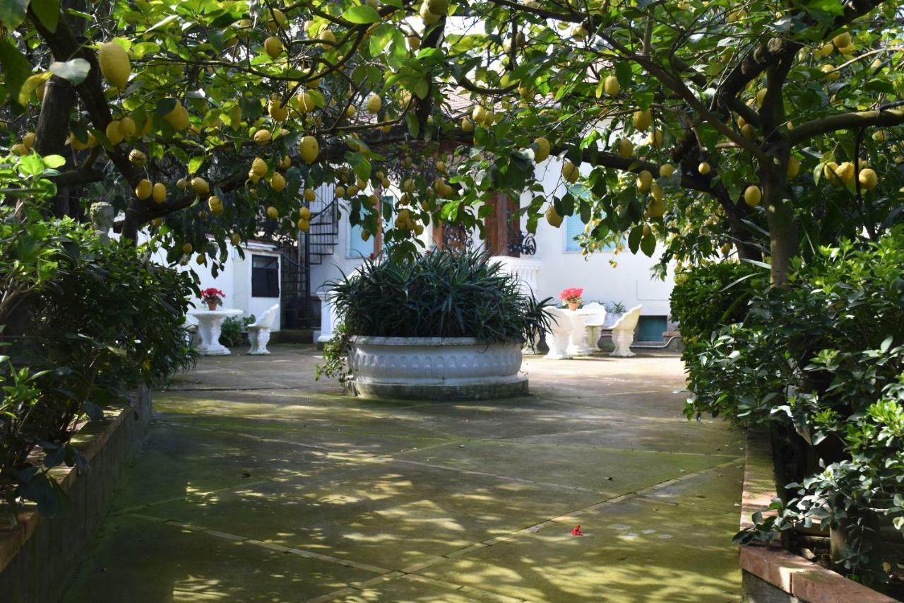 Ferienwohnung De Gregorio Massa Lubrense Exterior foto