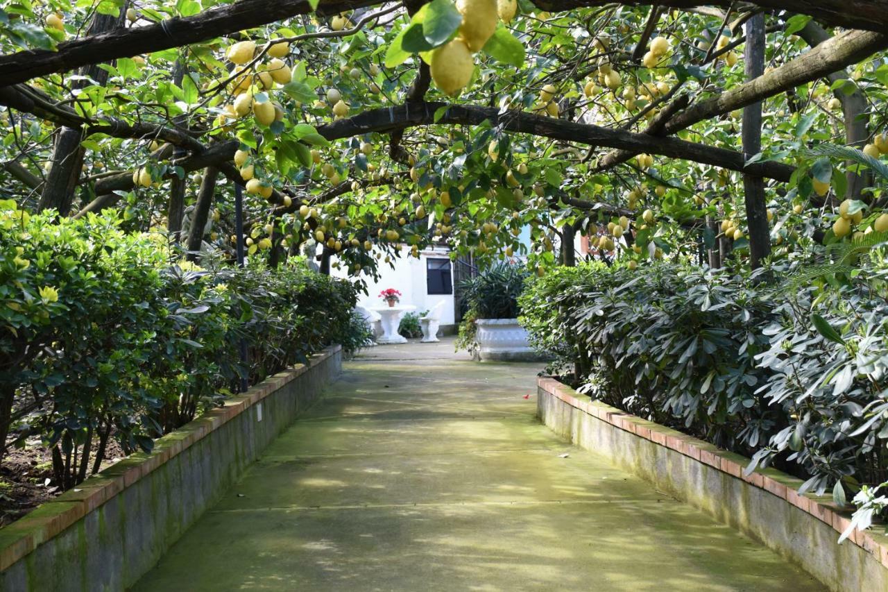Ferienwohnung De Gregorio Massa Lubrense Exterior foto
