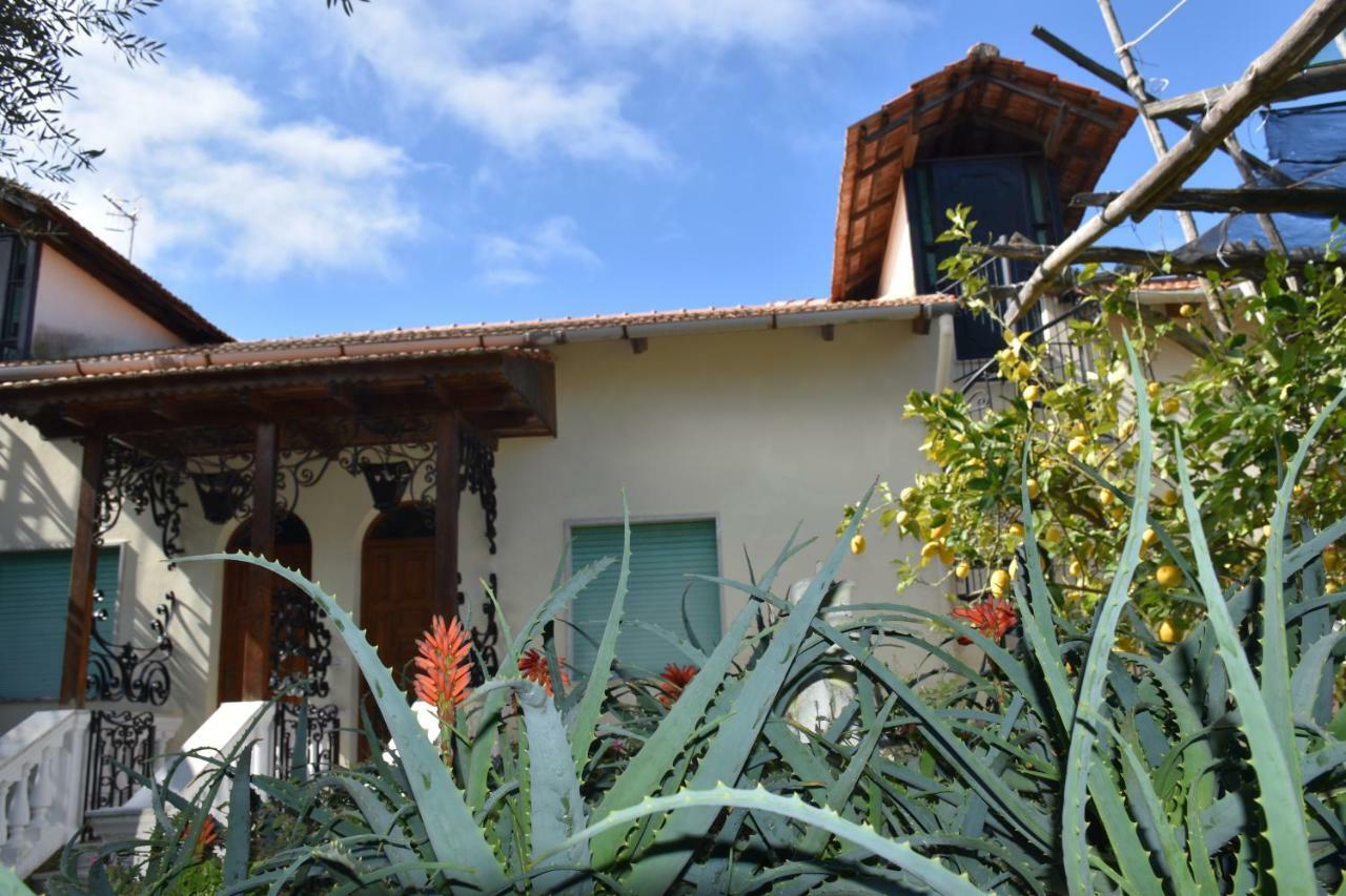 Ferienwohnung De Gregorio Massa Lubrense Exterior foto